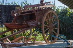 carriole-avant-restoration-22_07_2016-2-2