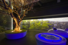 Exposition musée (crédit photo : Eric LAFARGUE)