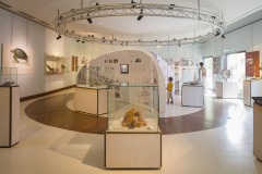Exposition musée