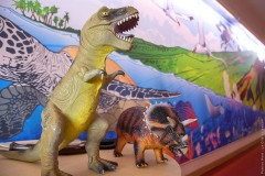 img-005