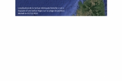 Comm_TIMOI-STORM-janv2022-soumis_page-0004