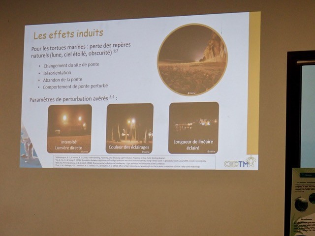 Seconde réunion de sensibilisation à la pollution lumineuse à Kélonia