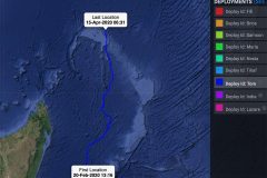 Image-1