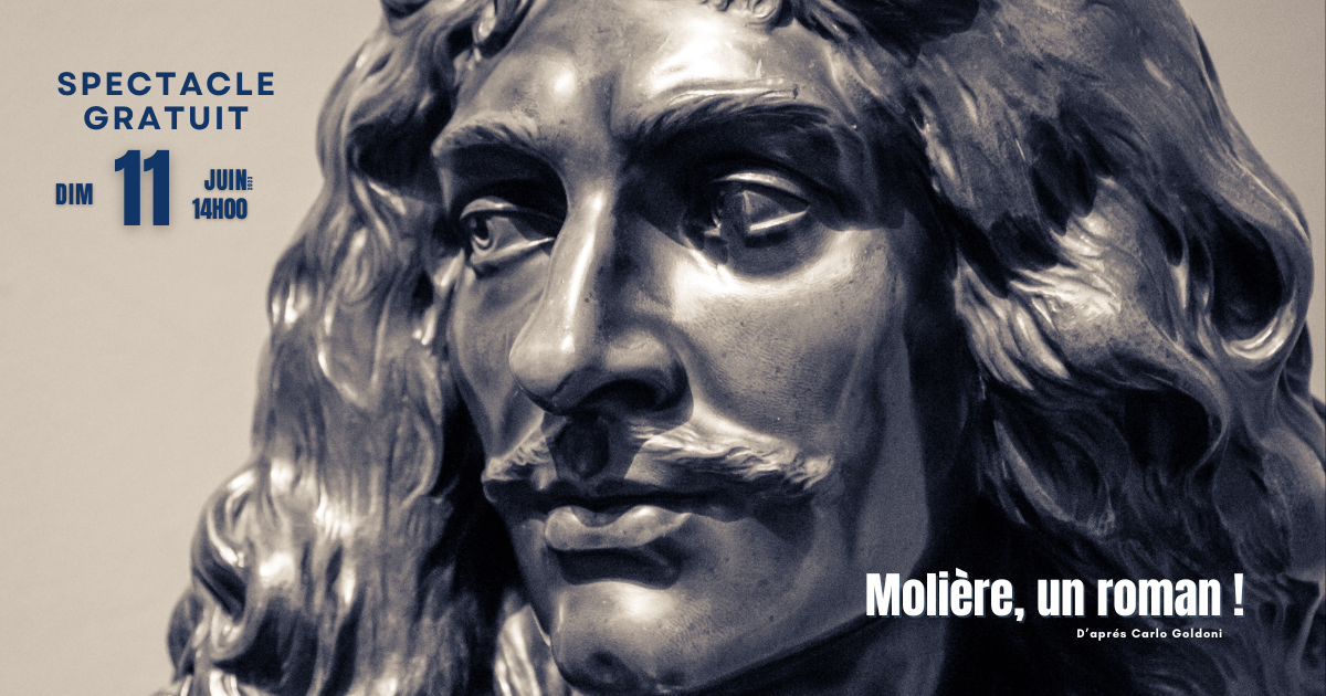 Molière, un roman !